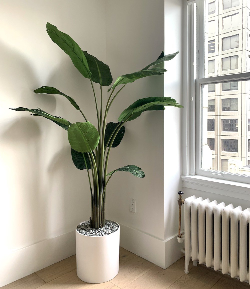 Artificial Traveller Palm Tree Greenscape Design & Decor