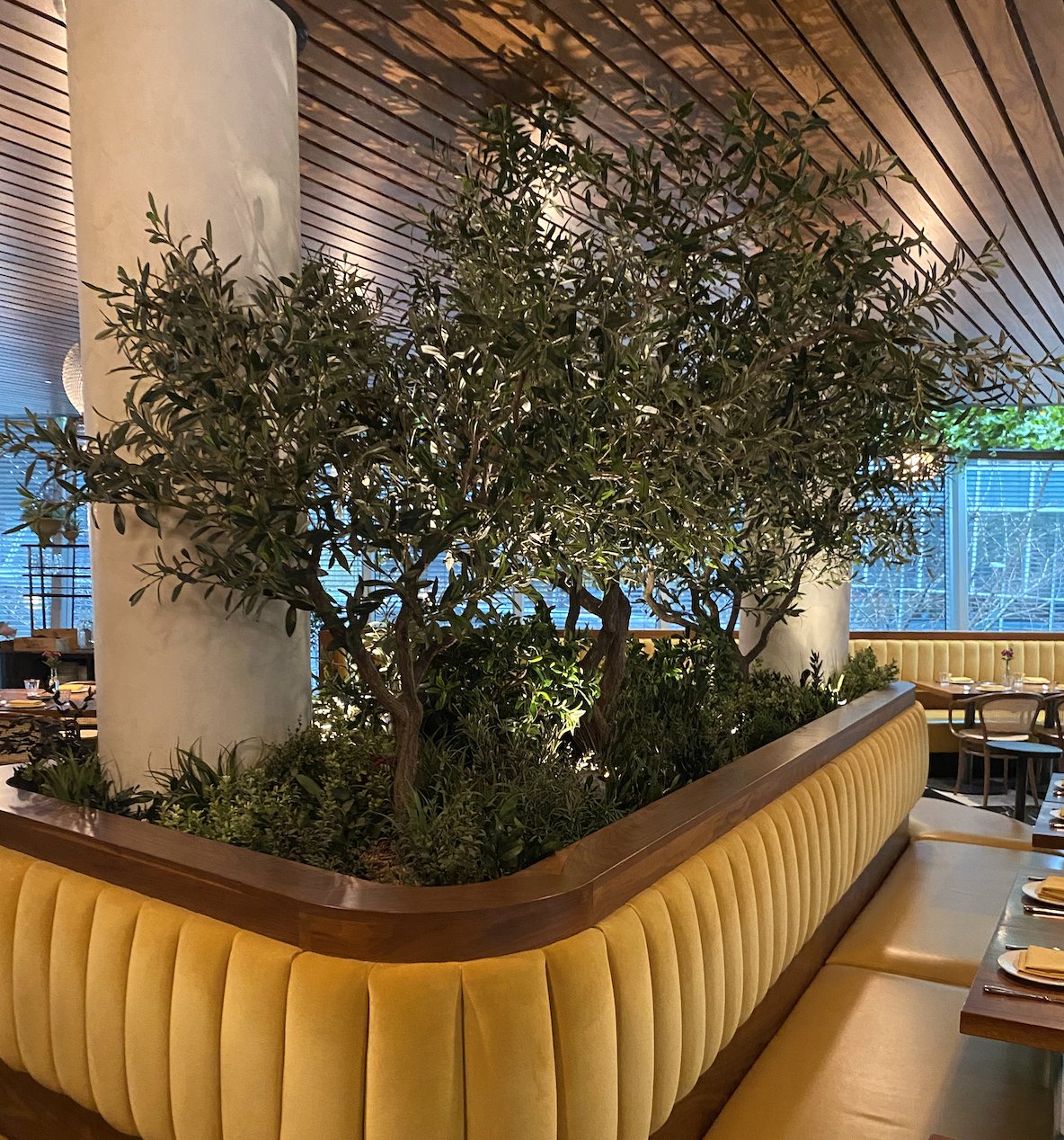 Custom artificial olive tree feature in a restaurant interior.