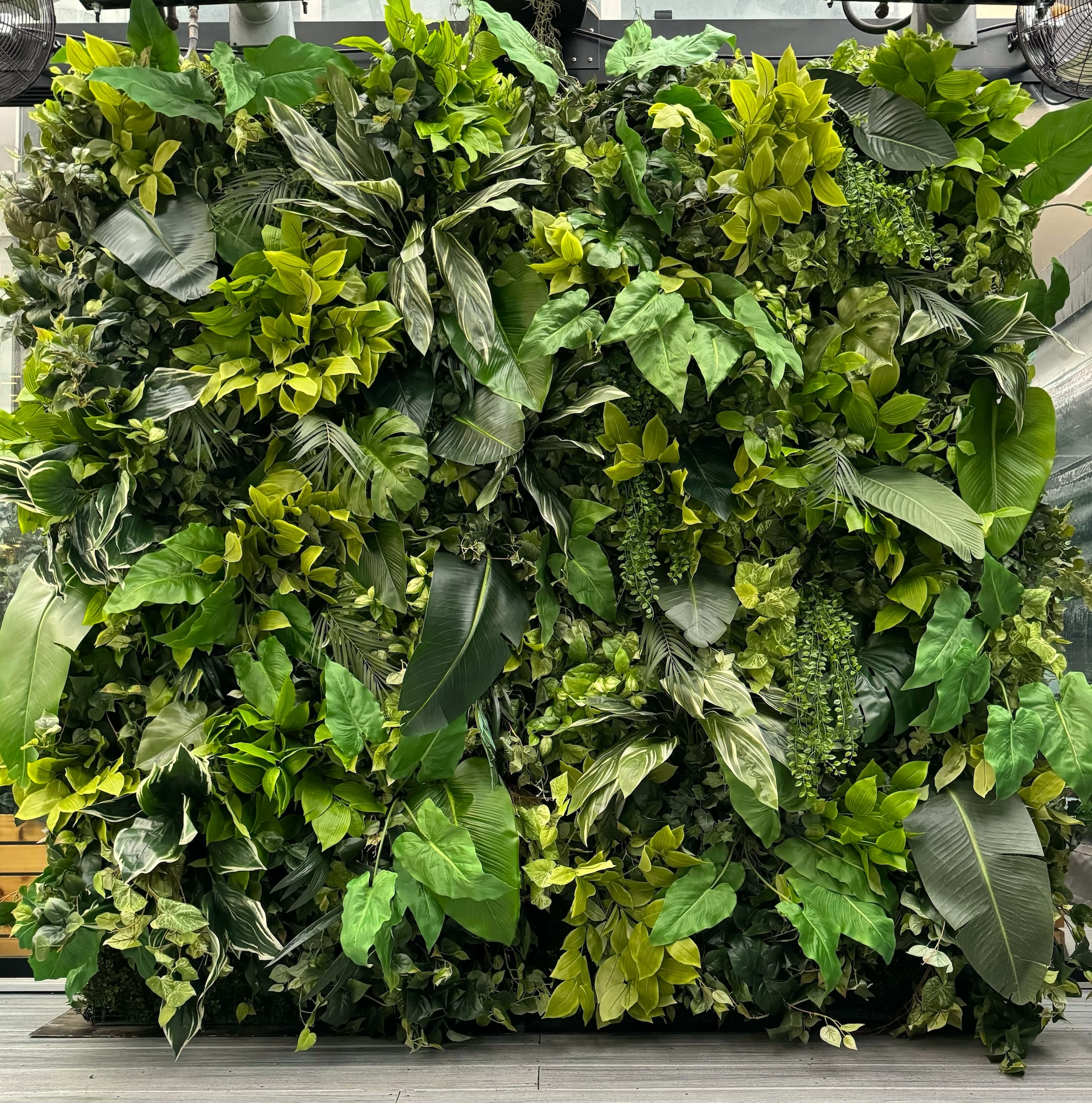 Artificial mixed greenery green wall installed in a Vancouver public space.
